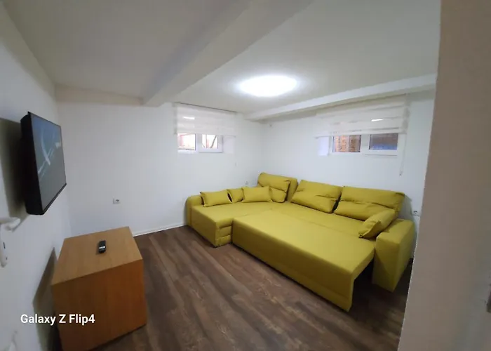 Guest Suzy Petrich (Blagoevgrad)