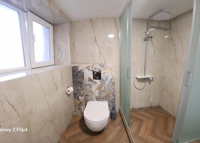 Guest Suzy Petrich (Blagoevgrad)